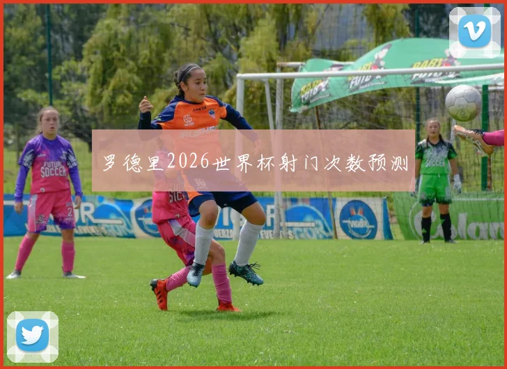 罗德里2026世界杯射门次数预测