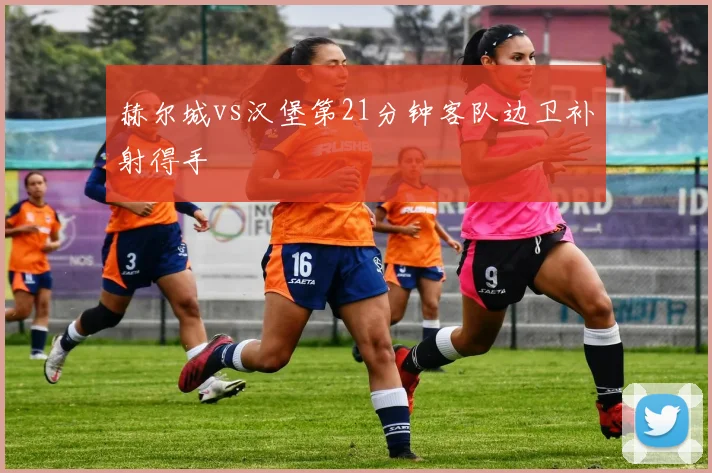 赫尔城vs汉堡第21分钟客队边卫补射得手