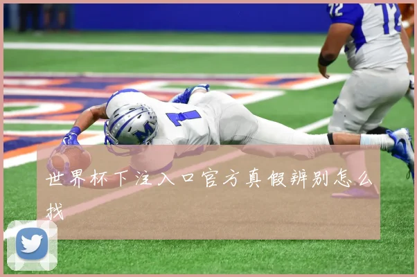 世界杯下注入口官方真假辨别怎么找