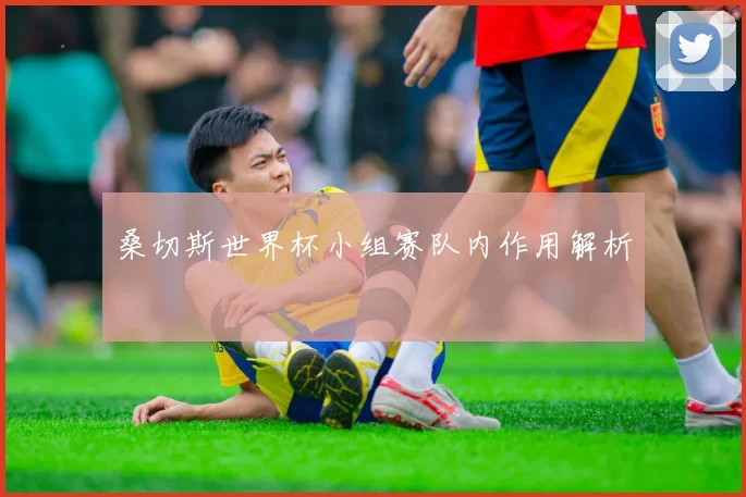 桑切斯世界杯小组赛队内作用解析