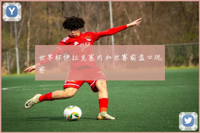 世界杯伊拉克塞内加尔赛前盘口观察
