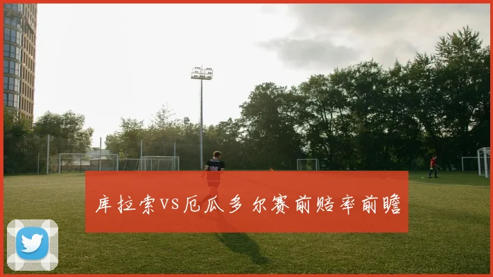 库拉索vs厄瓜多尔赛前赔率前瞻