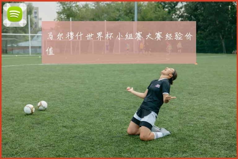 马尔穆什世界杯小组赛大赛经验价值