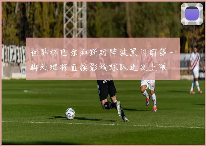 世界杯巴尔加斯对阵波黑门前第一脚处理将直接影响球队进攻上限