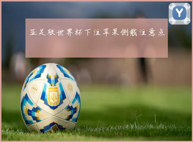 亚足联世界杯下注苹果侧载注意点