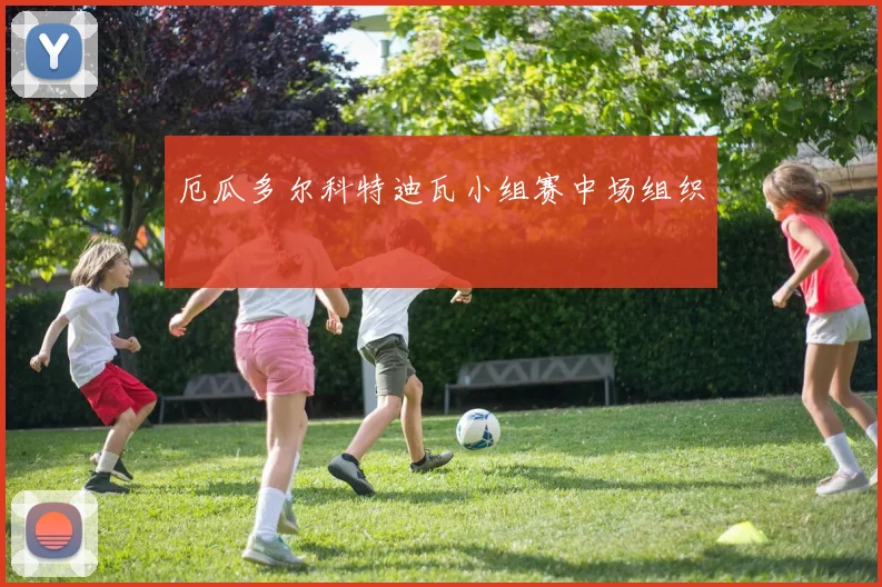 厄瓜多尔科特迪瓦小组赛中场组织
