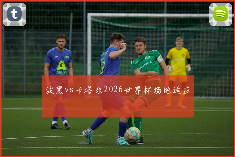 波黑vs卡塔尔2026世界杯场地适应
